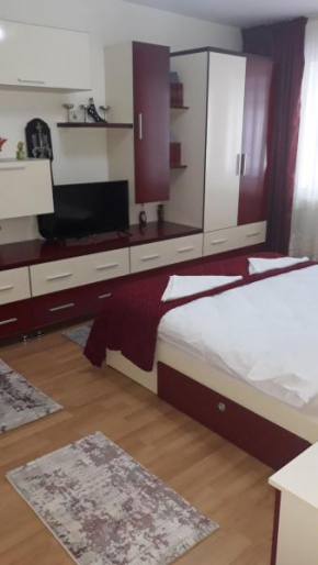 Apartament Alex